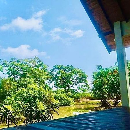 티사마하라마 Thihawa Eco Huts Yala B&B 외부 사진