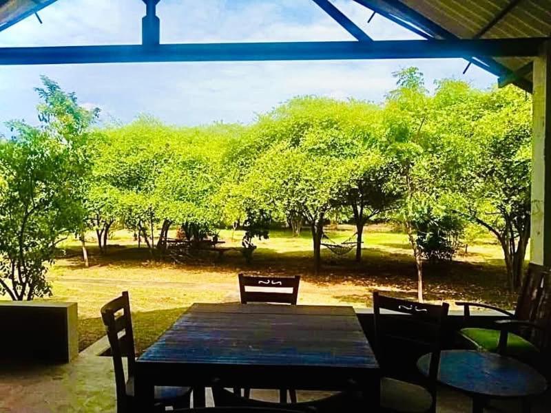 티사마하라마 Thihawa Eco Huts Yala B&B 외부 사진
