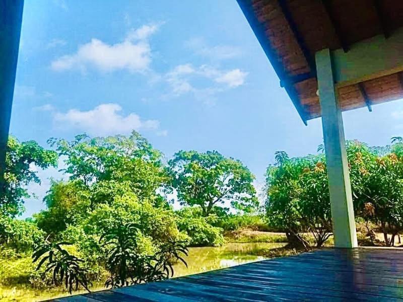 티사마하라마 Thihawa Eco Huts Yala B&B 외부 사진