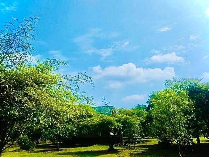 티사마하라마 Thihawa Eco Huts Yala B&B 외부 사진
