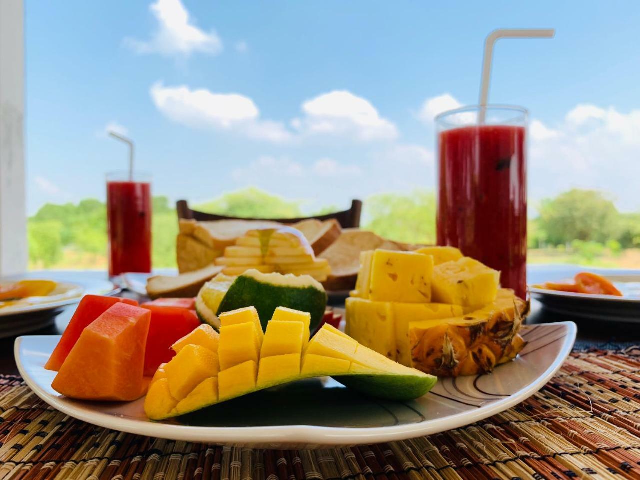 티사마하라마 Thihawa Eco Huts Yala B&B 외부 사진