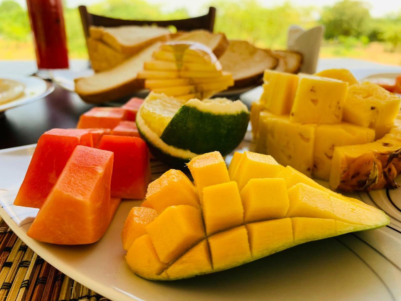 티사마하라마 Thihawa Eco Huts Yala B&B 외부 사진