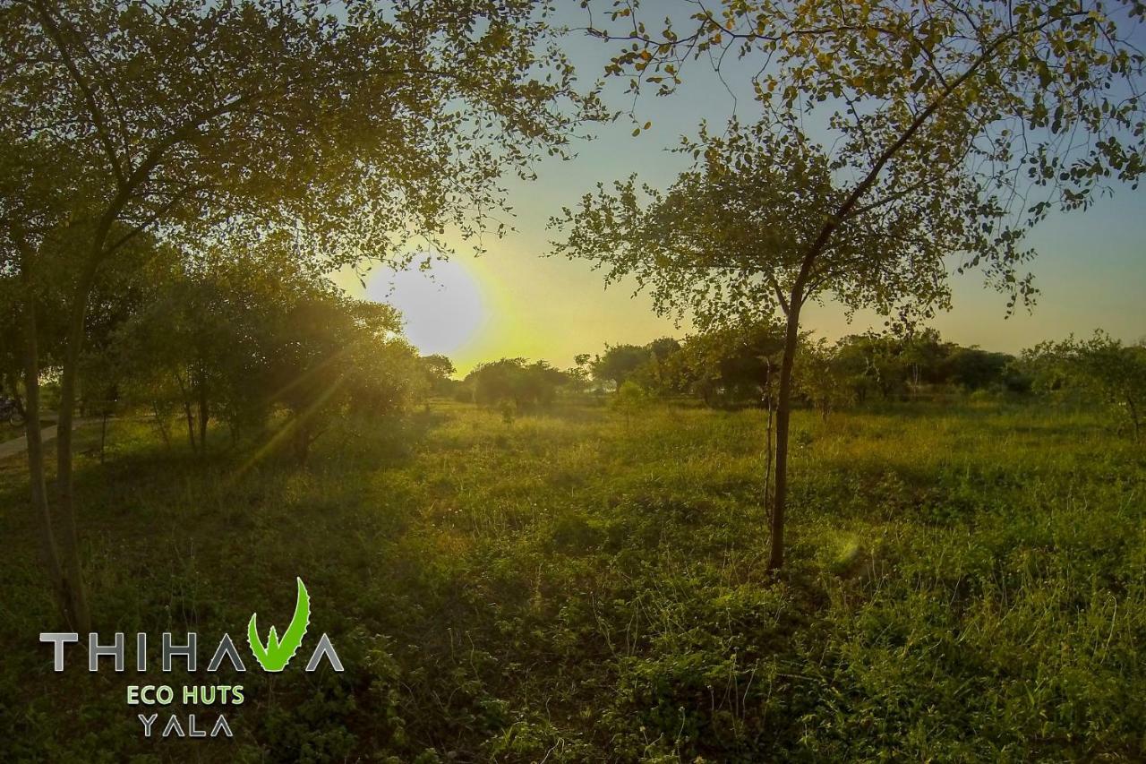 티사마하라마 Thihawa Eco Huts Yala B&B 외부 사진