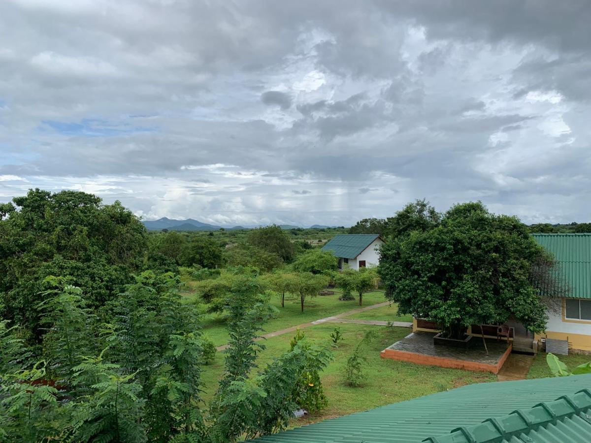 티사마하라마 Thihawa Eco Huts Yala B&B 외부 사진